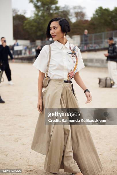 Molly Chiang wearing a long beige pleated maxi skirt and white shirt with ornaments outside Christian Dior, during Paris Fashion Week - Womenswear...
