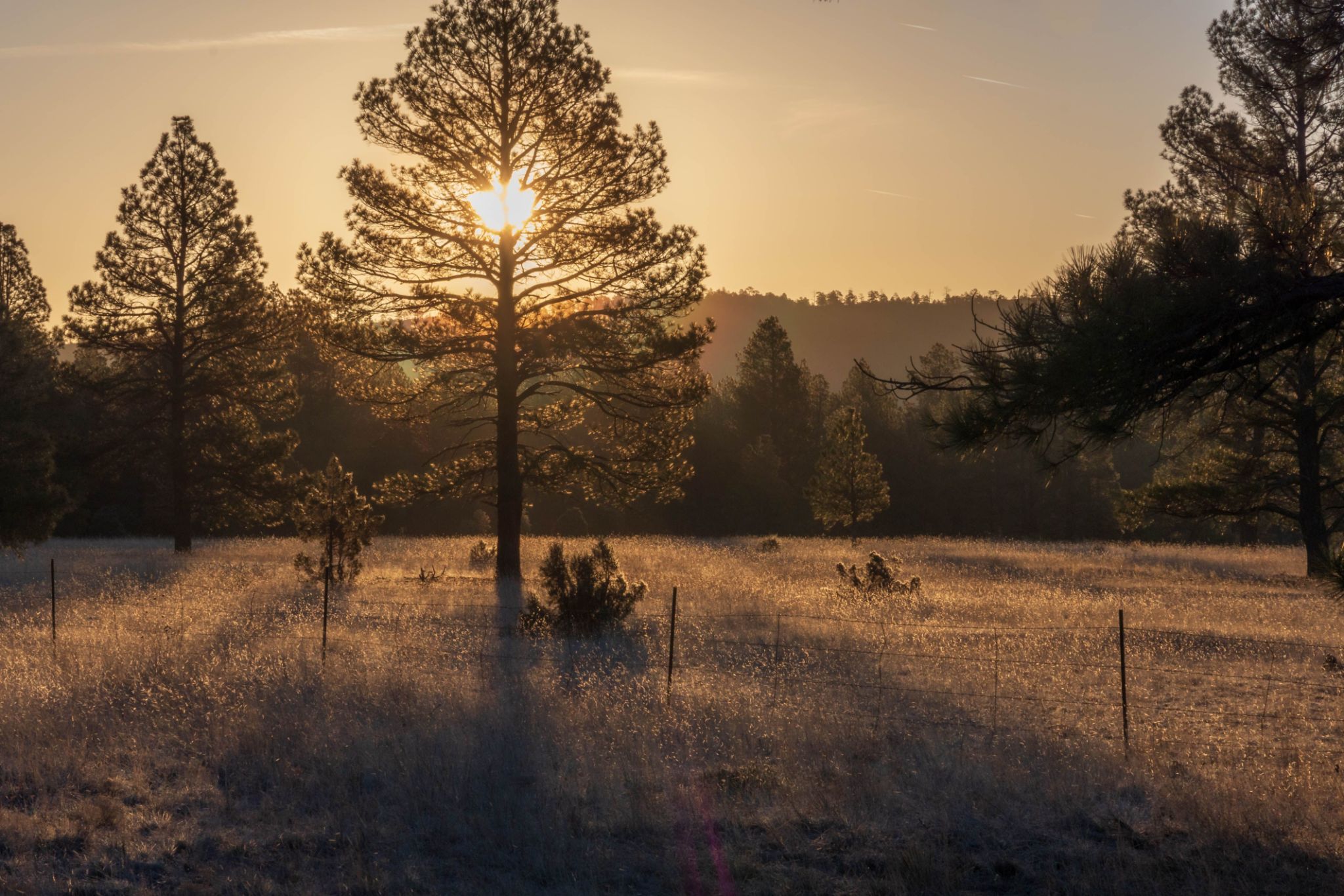 show low arizona landscape