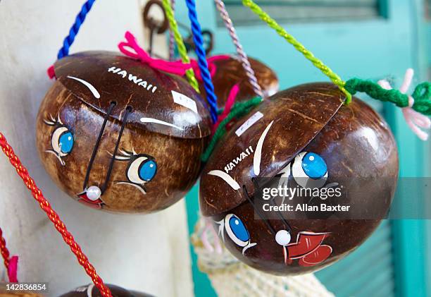 pair of bowls - hawaii souvenir stock pictures, royalty-free photos & images