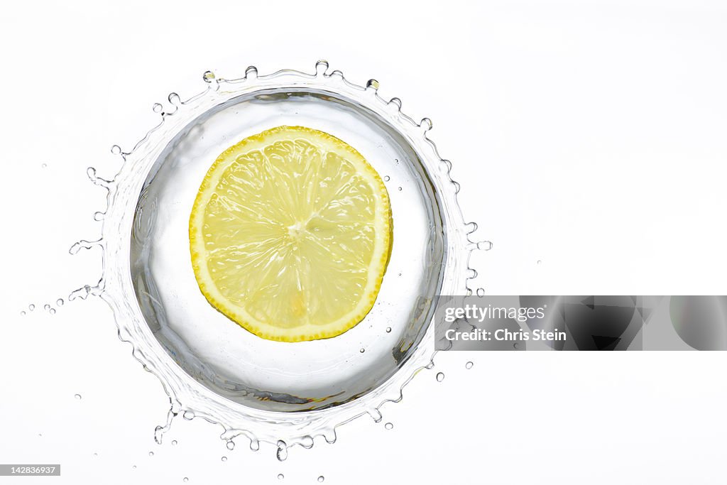 Lemon Slice Splash