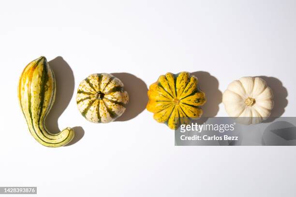 gourds aligned on a white background - variety stockfoto's en -beelden