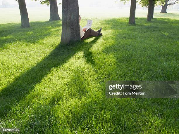 man using laptop in grassy field - leaning tree stock pictures, royalty-free photos & images