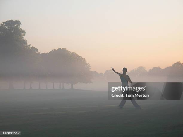 woman practicing yoga in foggy field - taijiquan photos et images de collection