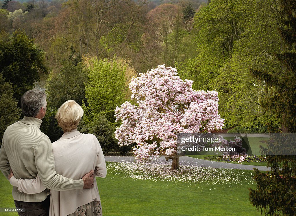 Couple admiring flowering tree