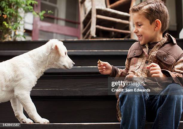 boy playing with puppy on steps outdoors - 6 steps imagens e fotografias de stock