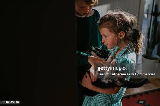 siblings in school uniforms cradle their cat - worried pet owner stock pictures, royalty-free photos & images