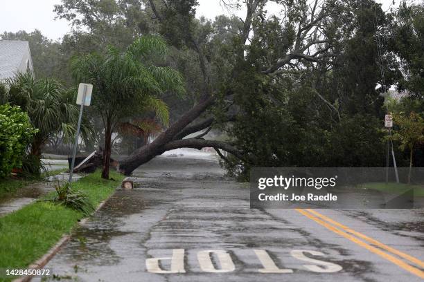 Down tree lays over the road after being toppled by the winds and rain from Hurricane Ian on September 28, 2022 in Sarasota, Florida. Ian is hitting...