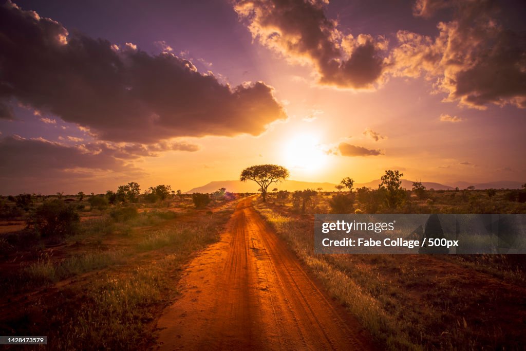 Scenic view of field against sky during sunset,Kenya