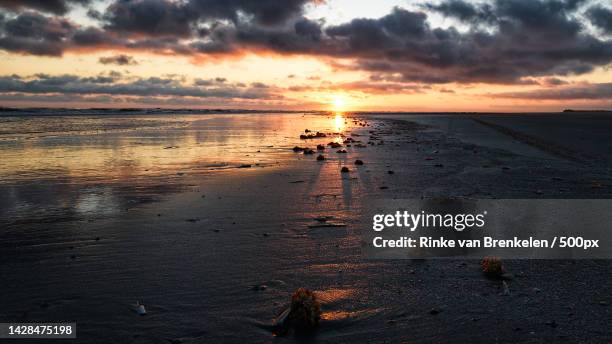 scenic view of sea against sky during sunset,schiermonnikoog,netherlands - zonsopgang stock pictures, royalty-free photos & images