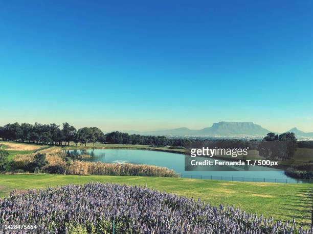 scenic view of field against clear blue sky,randburg,south africa - província de gauteng imagens e fotografias de stock