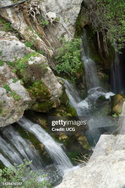 Crete Water Spring 56 Spring (Hydrology) Stock Photos, High-Res Pictures, and Images ...