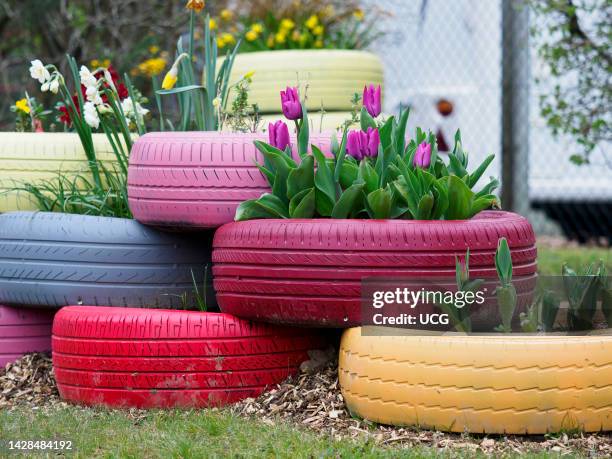 Recycled car tires used as flower planters, Hampshire, UK.