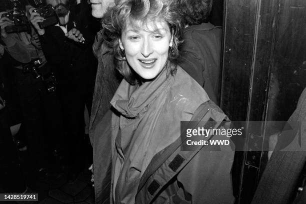 Meryl Streep attends an event, featuring the presentation of awards for cinematic achievments during 1982, at Sardi's in New York City on January 31,...