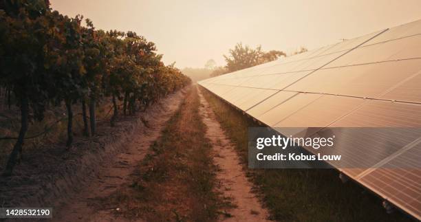 farm with solar panels for sustainable, clean and renewable energy in green environment. eco friendly, agriculture and agro vineyard with sustainability solar energy from photovoltaic cells in field. - low carbon technology stockfoto's en -beelden