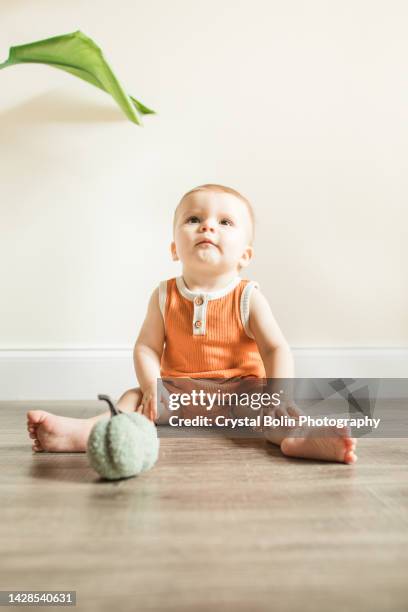un bébé de 9 mois atteint de pandémie avec 12 orteils portant une tenue orange d’automne tout en jouant sur le sol avec une citrouille jouet floue à l’automne 2022 - bodysuit photos et images de collection