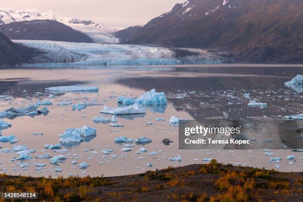 knik glacier and lake george with ice bergs in alaska at dawn - knik glacier stock pictures, royalty-free photos & images