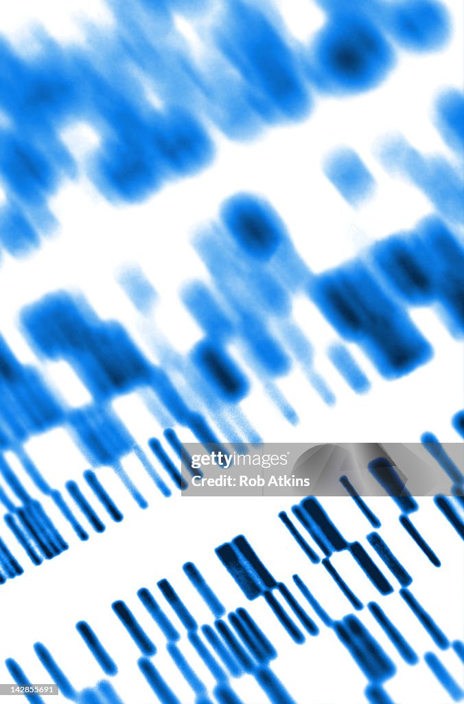 DNA sequence