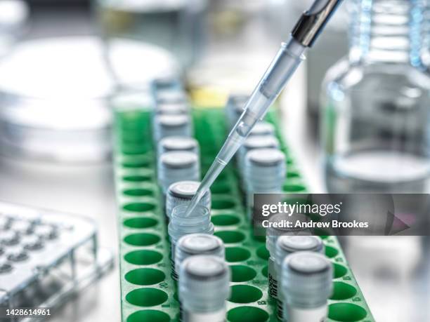 close-up of test tubes and pipette in lab - prateleira de tubos de ensaio imagens e fotografias de stock