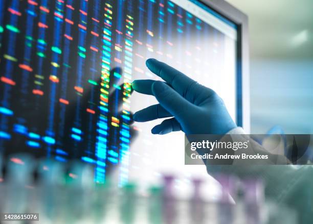scientist matching dna sample to results on screen - dna test stock pictures, royalty-free photos & images