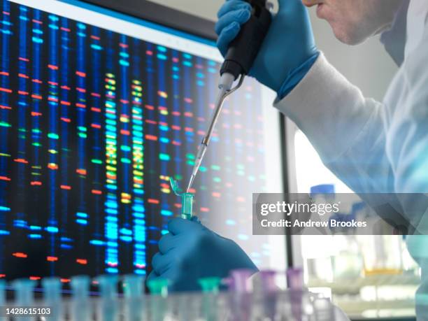 scientist pipetting a dna sample into a vial ready for testing - adn fotografías e imágenes de stock