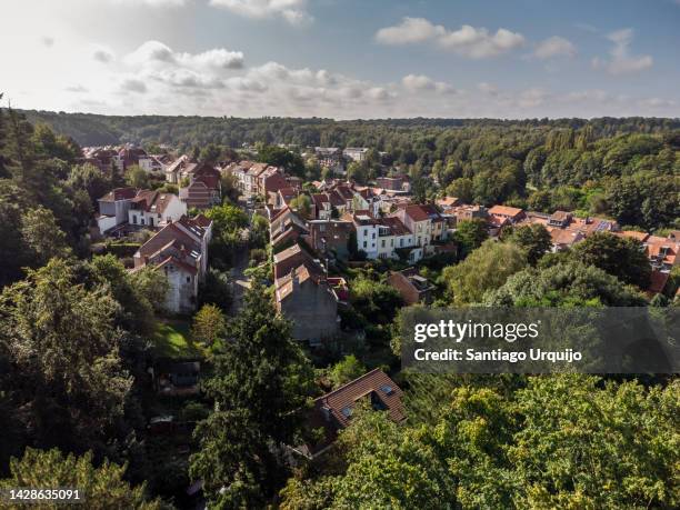aerial view of watermael-boitsfort encircled by the sonian forest - surrounding ストックフォトと画像
