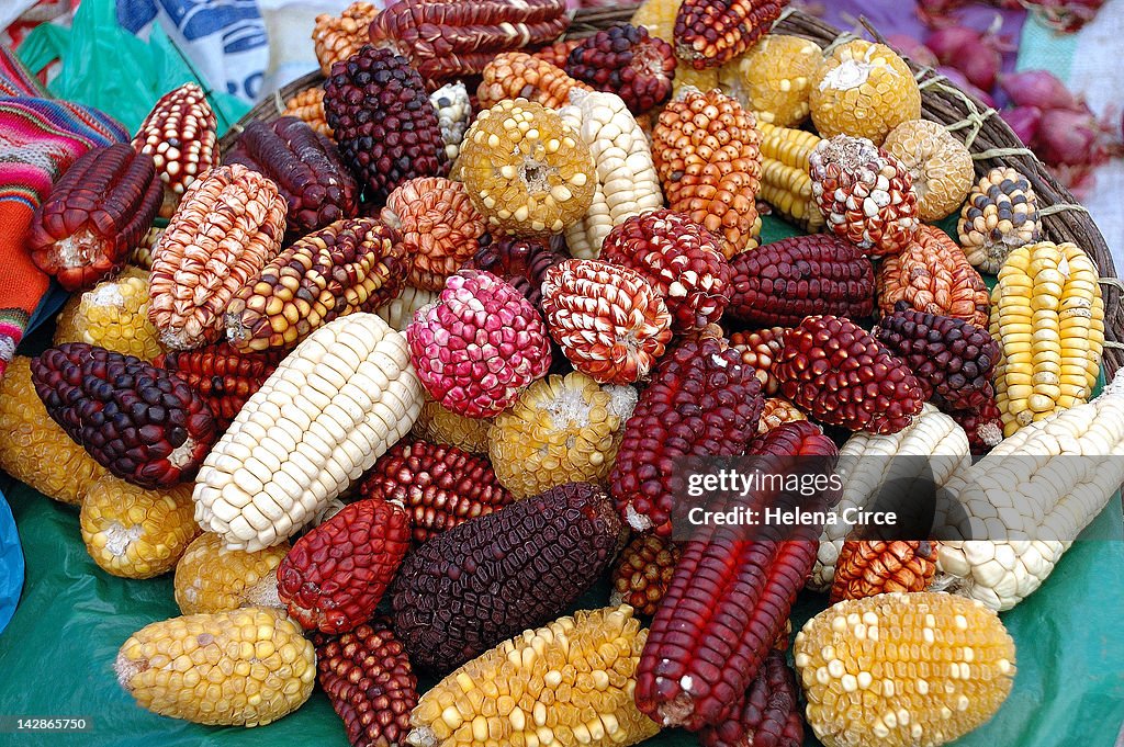 Corn Names Different Types Of Corn High-Res Stock Photo - Getty Images