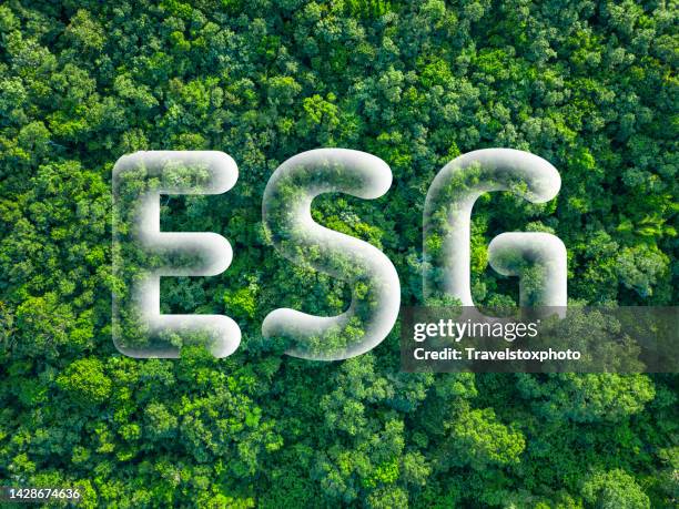 esg - environment, social, governance. corporate governance. sustainability rating and indicator. green-investing. investing responsibly. green business. environmentally sustainable companies. investing with a good conscience. responsible investing. - esg stock pictures, royalty-free photos & images