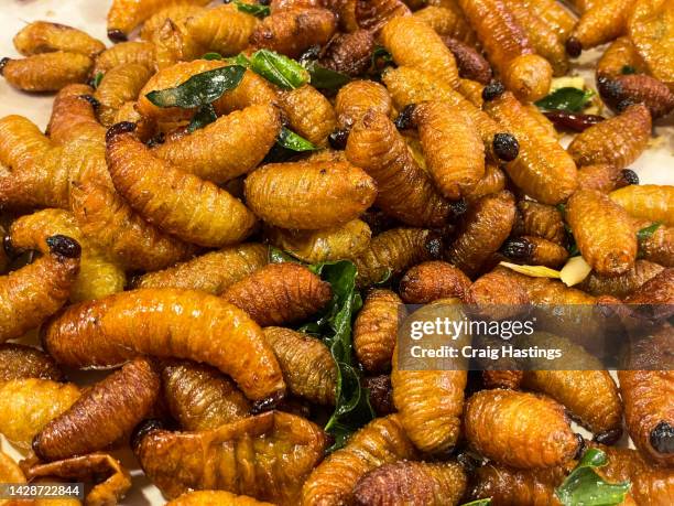 macro extreme close up of selection of bugs insects cooked and ready to be eaten. a delicacy of south east asia these insects are high in protein and cheap to produce and recommended by the wef world economic forum as a beef meat substitute. - ugly spiders fotografías e imágenes de stock