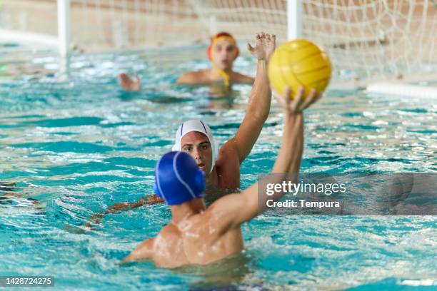 ein wasserball-stürmer schießt auf das tor. - wasserball mannschaft stock-fotos und bilder