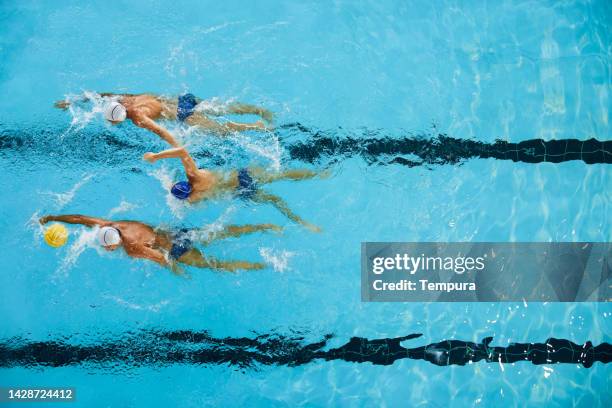 three professional water polo players are racing towards the goal. - waterpolo imagens e fotografias de stock