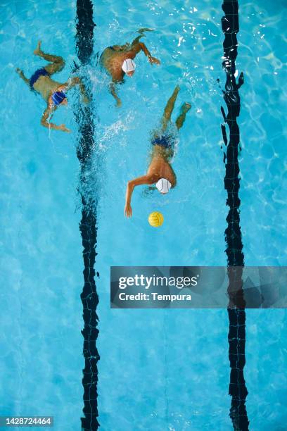 a forward water polo player drives the ball. - waterpolo imagens e fotografias de stock