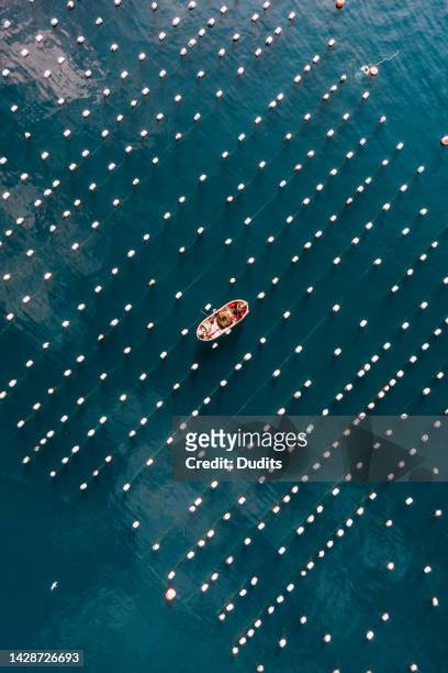 drone view mussel and oyster farm in the sea - sustainable fishing stock pictures, royalty-free photos & images