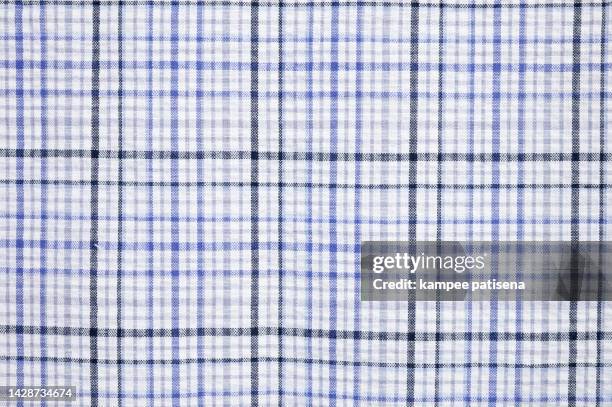 cotton plaid sleepwear fabric cloth background. - checked shirt fotografías e imágenes de stock