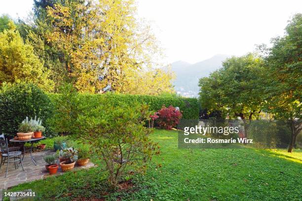 corner of autumn back garden with flower pots - giardino pubblico giardino foto e immagini stock