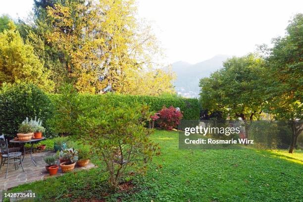 corner of autumn back garden with flower pots - siertuin stockfoto's en -beelden