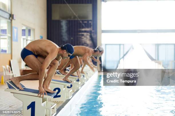 young male swimmers are about to dive off of the starting block. - desporto aquático imagens e fotografias de stock