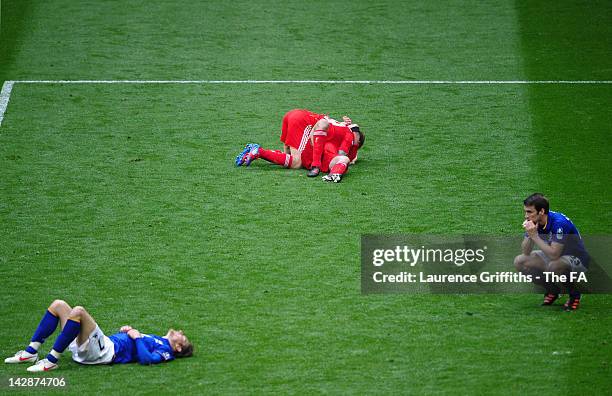 Craig Bellamy and Jamie Carragher of Liverpool celebrate victory as Nikica Jelavic and Seamus Coleman of Everton are dejected after the FA Cup with...