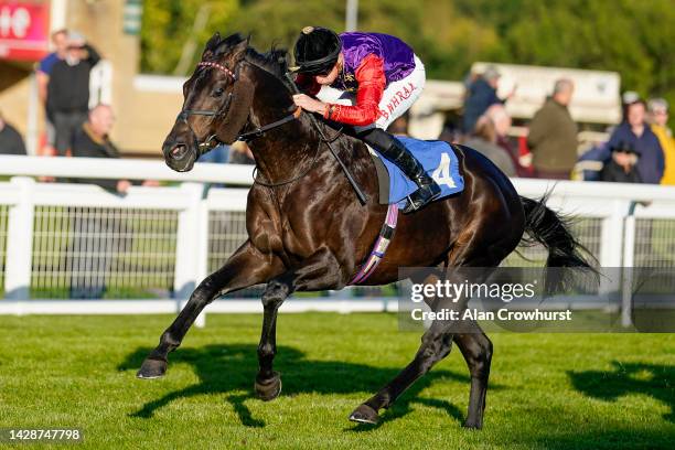 Tom Marquand riding Educator for King Charles III finish second in The Radcliffe & Co Handicap at Salisbury Racecourse on September 29, 2022 in...