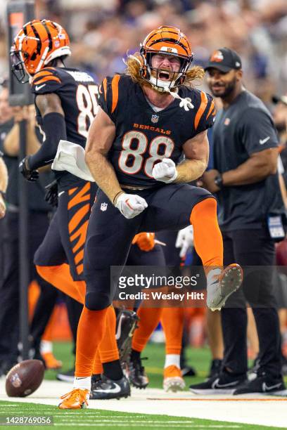 Hayden Hurst of the Cincinnati Bengals celebrates after getting a first down during a game against the Dallas Cowboys at AT&T Stadium on September...