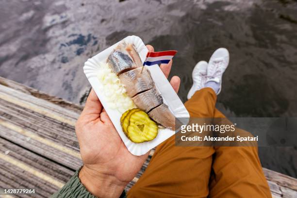 man eating dutch herring with onion and pickles by the canal, amsterdam, netherlands - inlagd gurka bildbanksfoton och bilder
