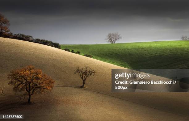 scenic view of field against sky,marche,italy - marche italy stock pictures, royalty-free photos & images