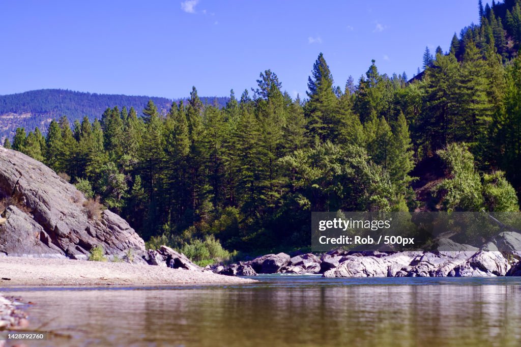Scenic view of lake by trees against sky