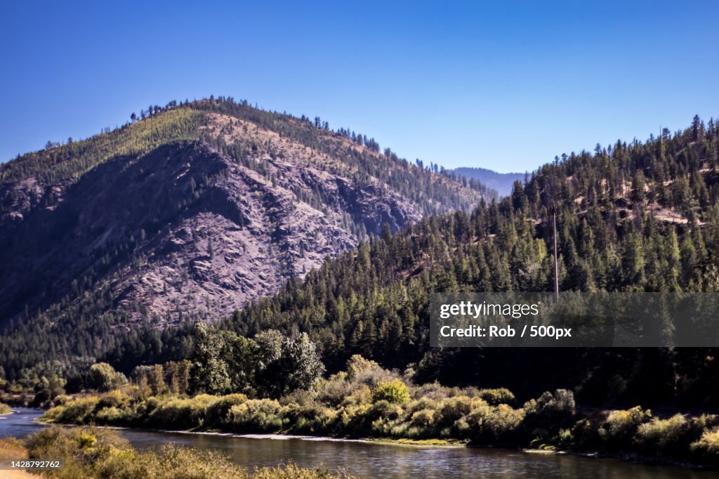 Scenic view of lake by trees against clear blue sky