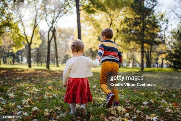 brother and sister taking a walk in the park on autumn day - red dress child stock pictures, royalty-free photos & images