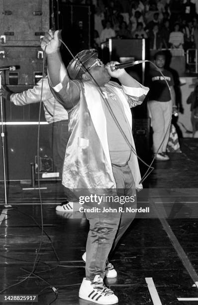 American rapper, beatboxer, and actor Darren "Buff Love" Robinson , of the American hip hop trio The Fat Boys, sings on stage during the 1985 Fresh...