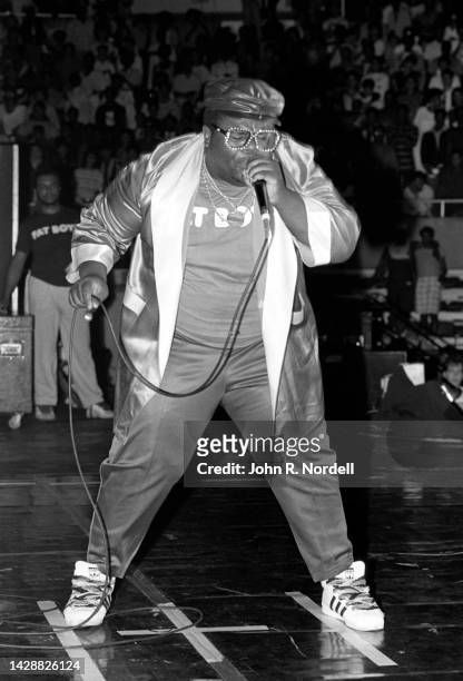 American rapper, beatboxer, and actor Darren "Buff Love" Robinson , of the American hip hop trio The Fat Boys, sings on stage during the 1985 Fresh...