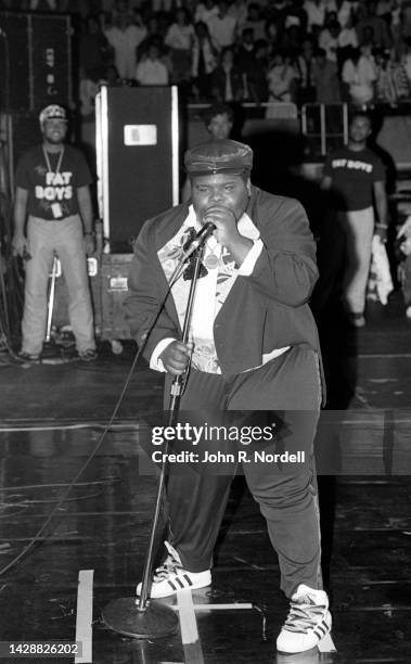 American rapper, beatboxer, and actor Darren "Buff Love" Robinson , of the American hip hop trio The Fat Boys, sings on stage during the 1985 Fresh...