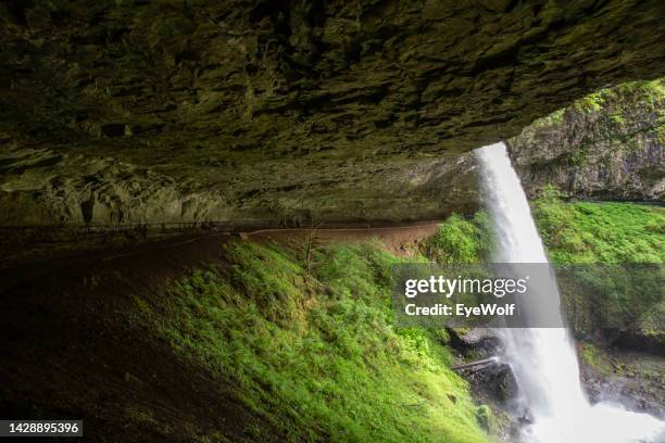 view from trail behind south falls waterfall  in silver falls state park - khaki - fotografias e filmes do acervo