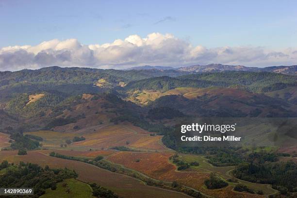 aerial view near santa rosa, ca - santa rosa california stock pictures, royalty-free photos & images