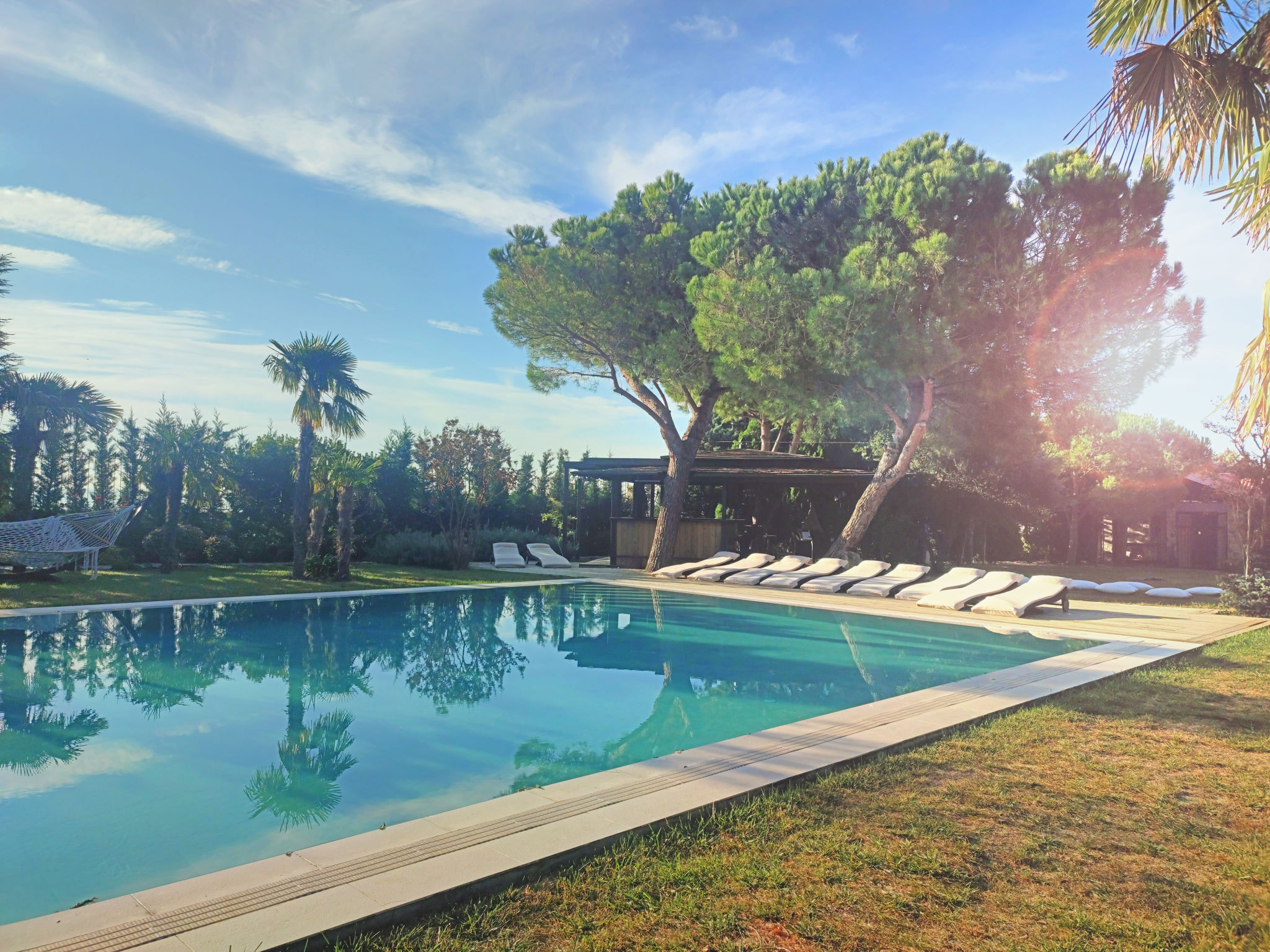 backyard oasis
